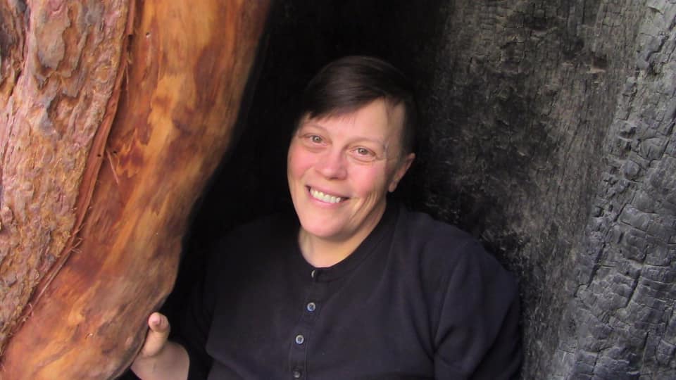 Psychic Insights Hollis Taylor